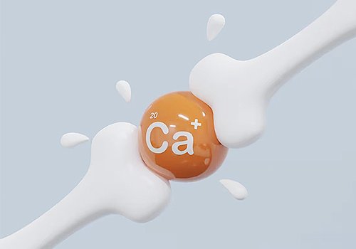 metabolismo do cálcio